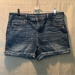 Medium Wash Denim Shorts